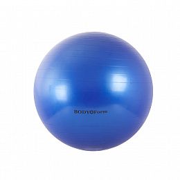 Мяч гимнастический DS GB01 55см